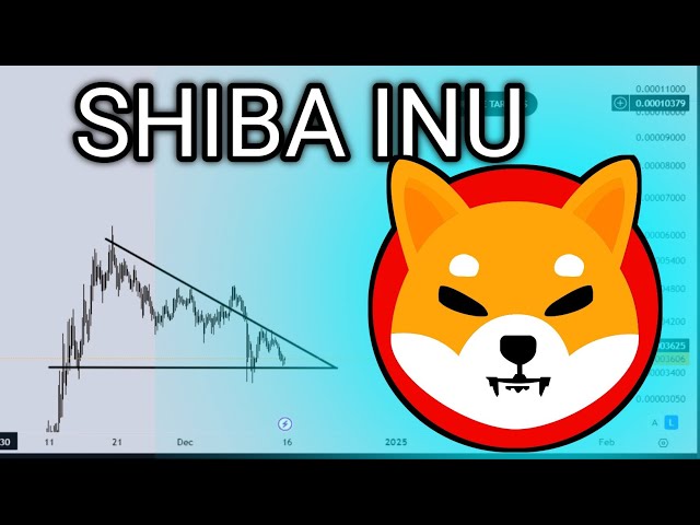 PRÉDICTION du prix des pièces Shiba Inu (SHIB) | Analyse technique Shiba Inu | Shiba Inu dernières nouvelles 22 décembre