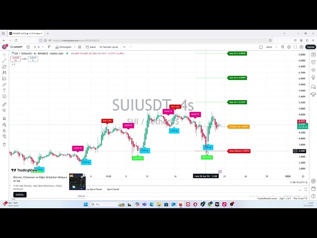 Sui 幣會繼續下跌嗎？