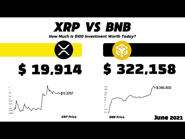 XRP vs BNB 2013-2024 | $100 Investment Price Gain Comparison Over the Years! #Crypto #altcoin