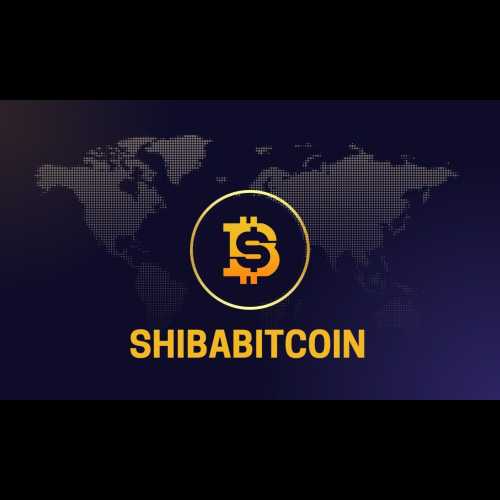 ShibaBitcoin (SHIBTC) : l'avenir des paiements cryptographiques pratiques et quotidiens