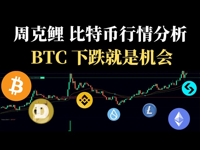 The fall of Bitcoin is an opportunity to recommend a few bottom altcoins. Zhou Keli coin circle’s shit stick 12.23 Bitcoin market analysis #btc #bitcoin contract