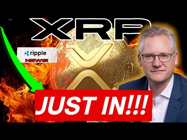 新聞快報：瑞波幣 XRP 就在這裡！加密貨幣主管 Stuart Alderoty 對川普的選擇發表評論 👀