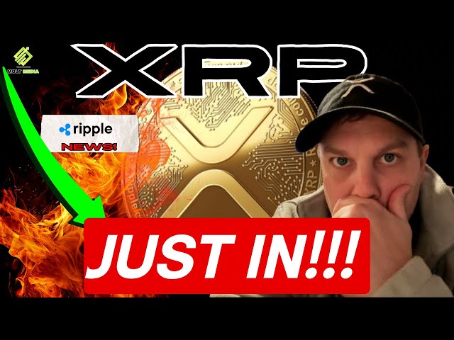 🚨JUST IN: リップル XRP 新登場!トランプ氏、暗号局長/スチュアート・アルデロティ課のコメントを引用👀