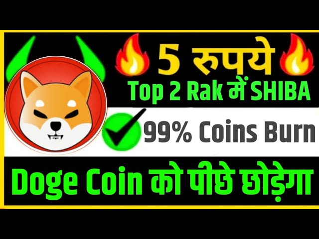 SHIBAINU Coin wird Doge Coin hinter sich lassen. Shiba im Top-2-Rang 99 % der Münzen brennen.