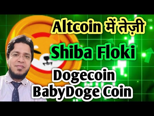 Alt-Coin-Saison hat begonnen 👍 | Aktualisierung der Shiba Floki Dogecoin- und Babydoge-Münzen