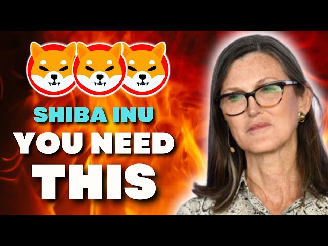 CATHIE WOOD DERNIER SECRET AVERTISSEMENT '' VOUS DEVEZ ACHETER 100 SHIBA INU COIN SHIB MAINTENANT ! NOUVELLES SHIB AUJOURD'HUI