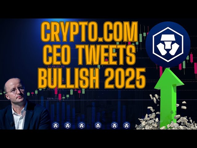 CRYPTO.COM CEO는 속보 CRO CONIN의 2025년 가격 예측을 트윗했습니다!!!