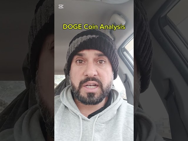 Analyse des pièces DOGE