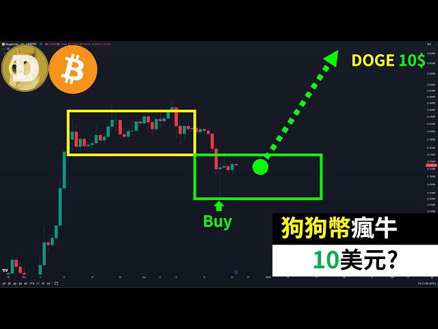 Dogecoin haut 10 $ ? Le marché haussier fou du DOGE arrive ? Baleine Bitcoin ?