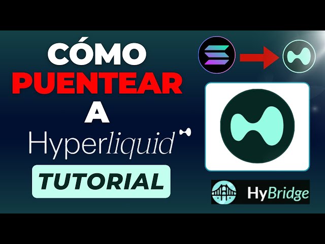 HYPERLIQUID Bridge (HyBridge) USDC を Hyperliquid に送金する方法 – SOL、BNB、ETH を HYPE に送金する