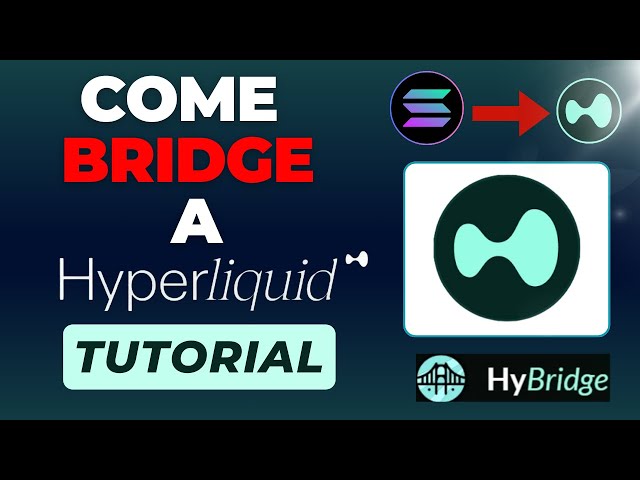 HYPERLIQUID Bridge(HyBridge): Hyperliquid로 USDC를 전송하세요 - Collega SOL, BNB, ETH a HYPE