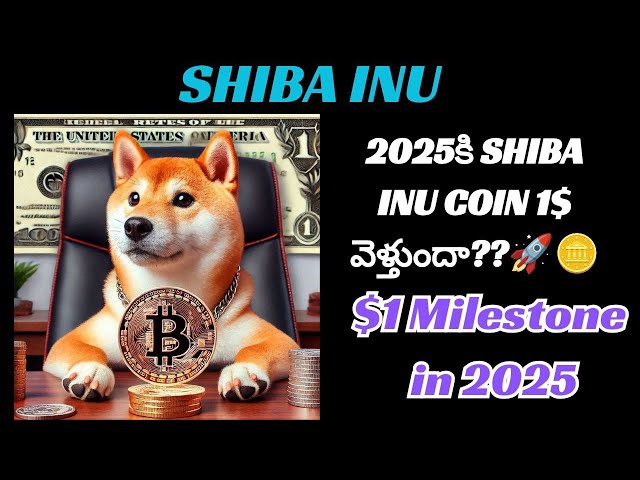 Wie ist ein Shiba Inu Coin 2025 Rally $1 möglich? | Polkadot DOT-Preisvorhersage