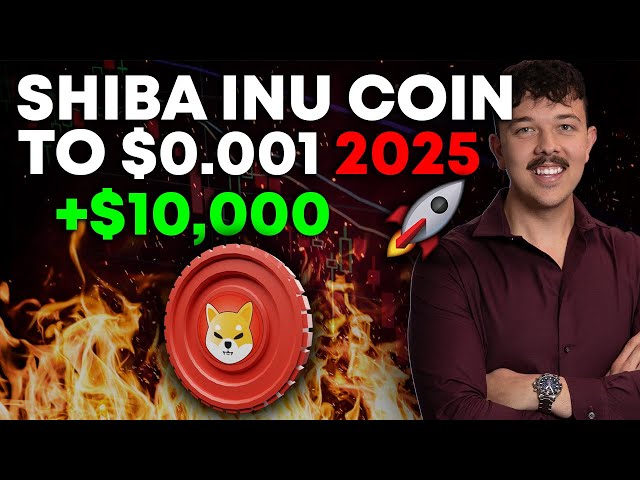 Shiba Inu Coin To $0 001 In 2025 (SHIB Price Prediction)