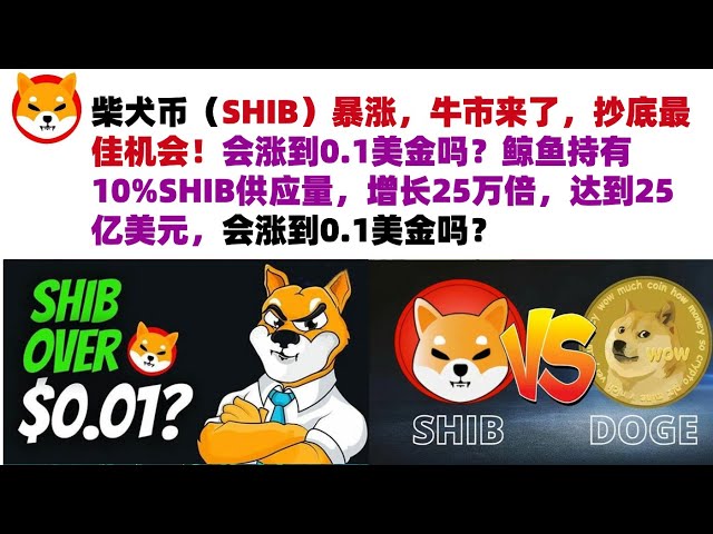 柴犬幣（SHIB）暴漲，牛市來了，抄底最佳機會！會漲到0.1美金嗎？鯨魚持有10%SHIB供應量，成長25萬倍，達到25億美元，會漲到0.1美金嗎？ #shib幣#柴犬幣#屎幣行情分析！