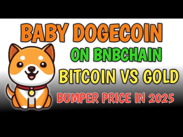 BABY DOGE COIN 💥 GROSSE LISTEN-COINBASE 🎉 AKTUELLE NACHRICHTEN HEUTE PREISVORHERSAGE 2025 🤑 ELON MUSK