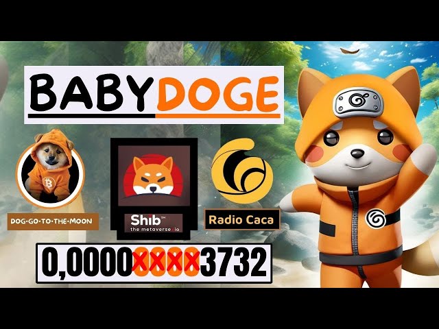 🔥BABY DOGE COIN // SHIBA INU + RACA AND MUCH MORE🔥#babydogecoin #babydoge #shiba #ondofinance