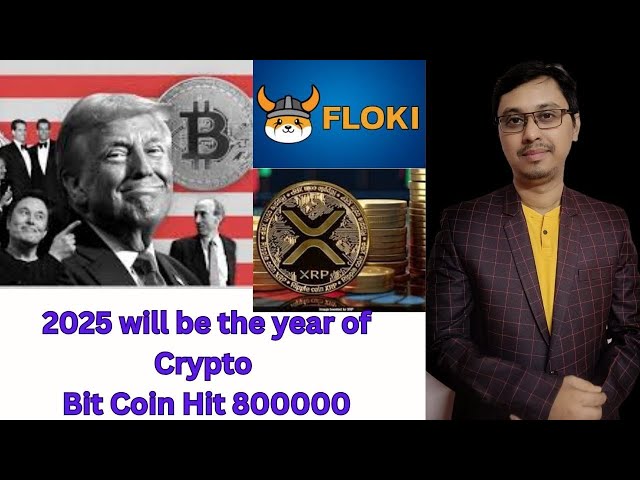 Le Bit Coin atteindra 800 000 $ | Prédiction XRP et Floki Inu pour 2025