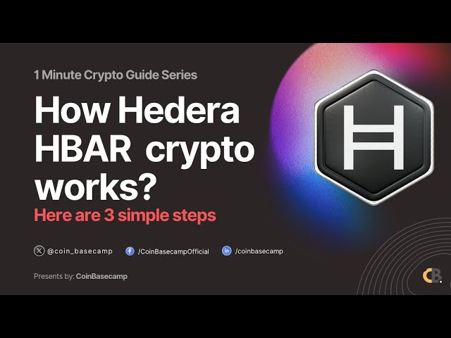 Hedera Hashgraph 的 HBAR 是什么以及 HBAR 是如何工作的？ | 1 分钟加密货币指南系列 |币大本营