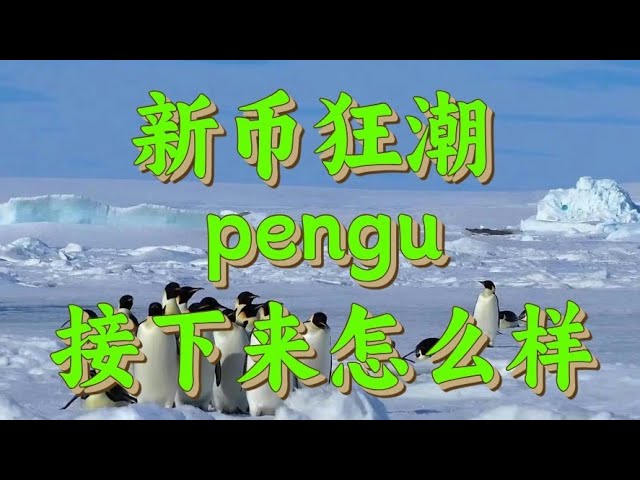 企鵝幣pengu新幣怎麼樣，為何大交易所接二連三的上線，pengu未來前景如何，pengu接下來怎麼樣#pengu