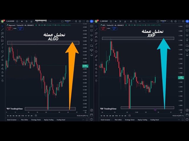 XRP 코인, $1000에 도달할 수 있나요? 🚀🚀 관심이 있다면 영상을 시청해 보세요.