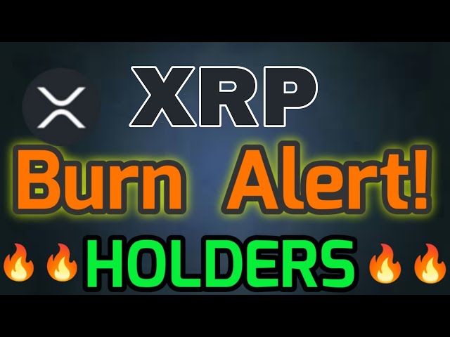 XRP 코인 긴급 1000% 리플 가격 예측