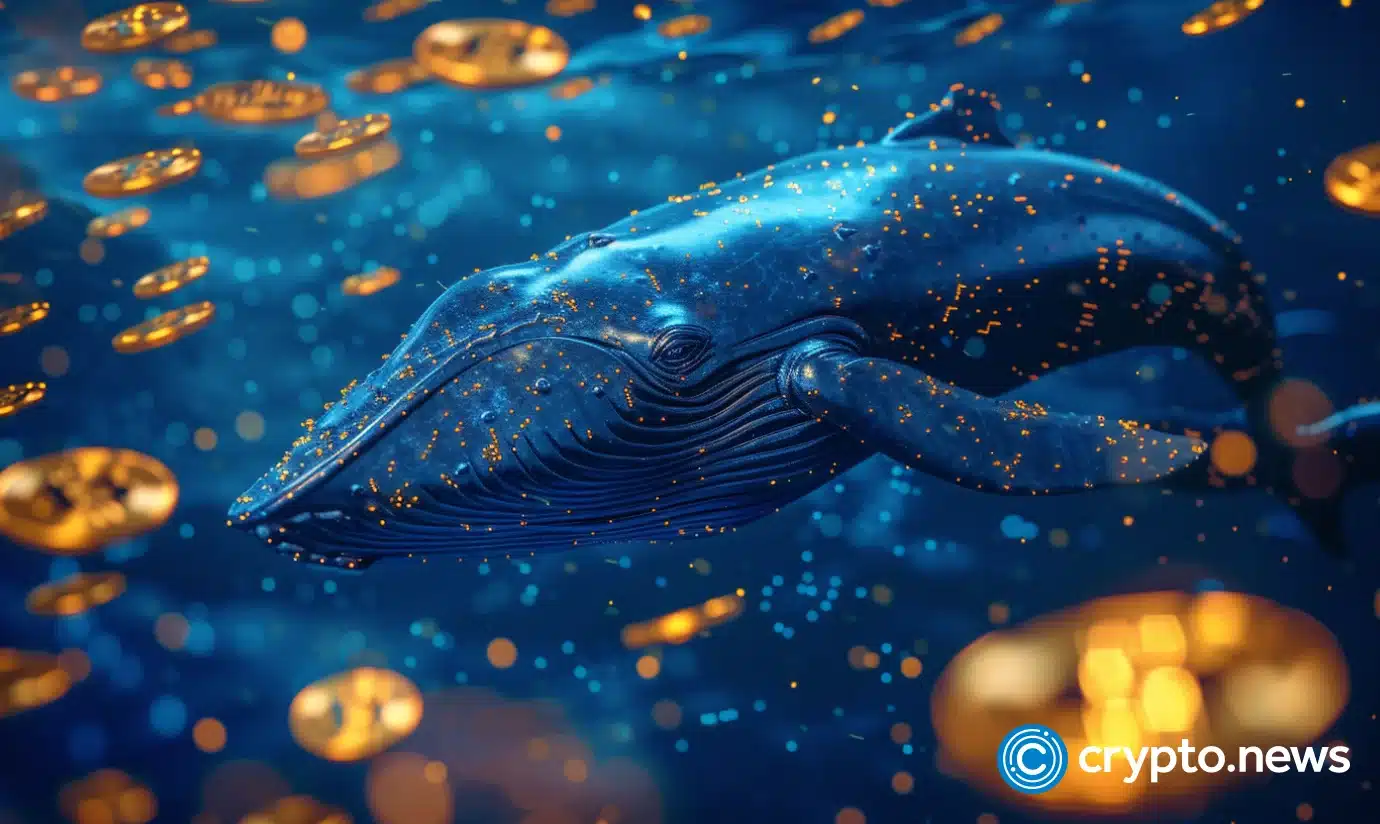 Analyzing three altcoins crypto whales are stockpiling before the next bull run