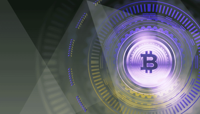 The Crypto Market Never Sleeps: Biggest Stories to Watch Before January 2025