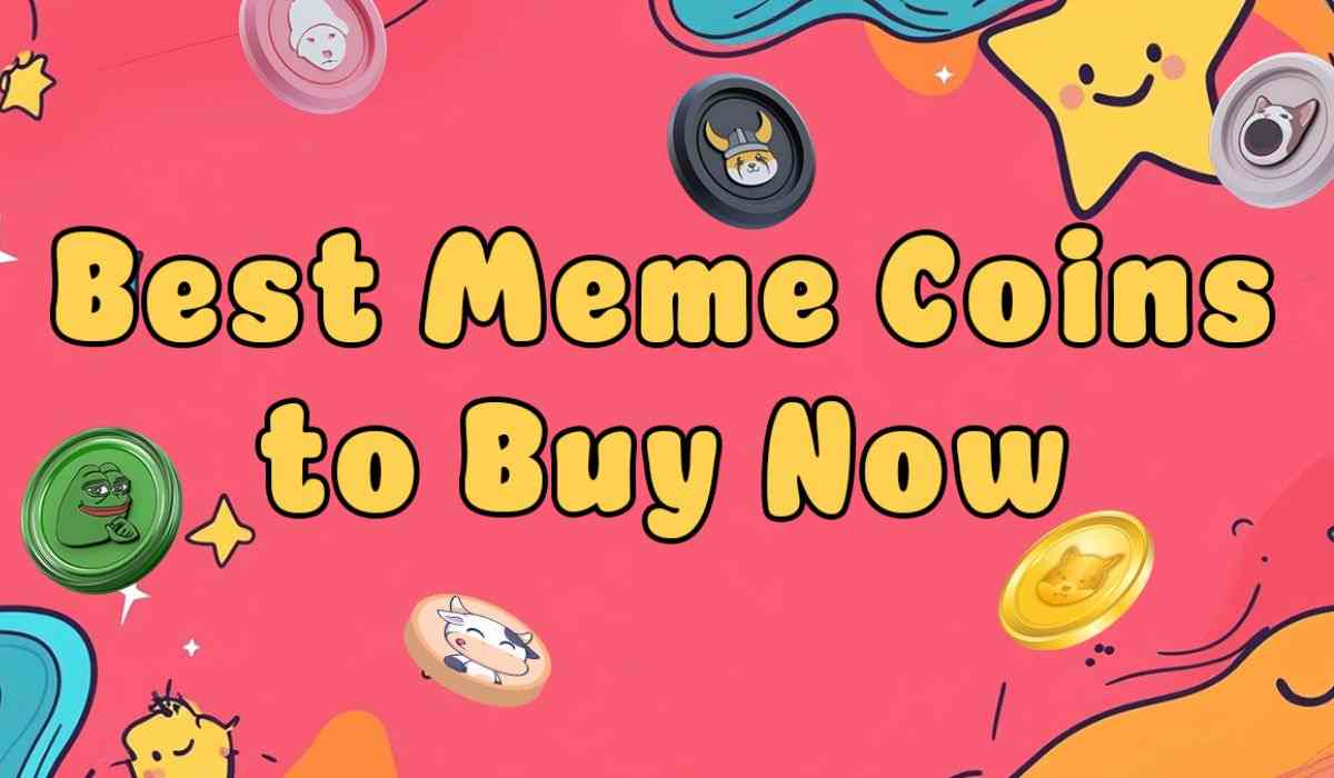 Top 5 New Meme Coins to Invest in Today: BTFD, SLERF, BONE, BAN, HIPPO