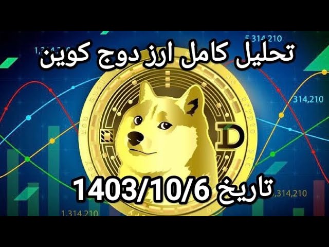 DOGE COIN币种分析回顾