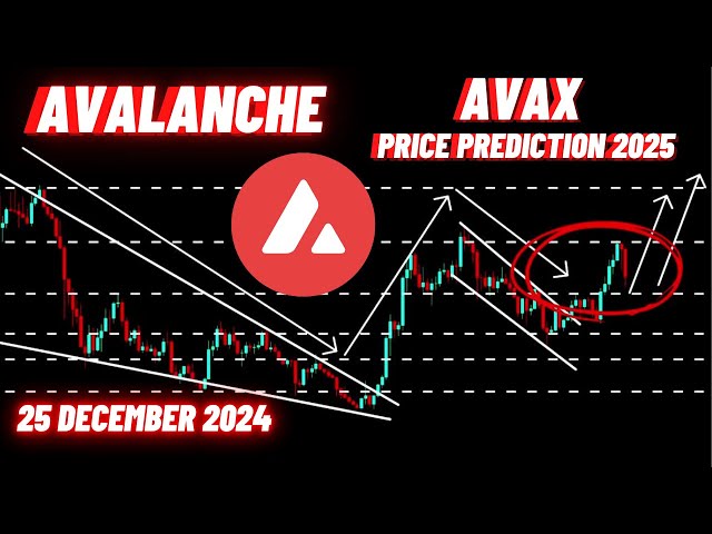 Avalanche AVAX 암호화 코인 가격 예측 2025