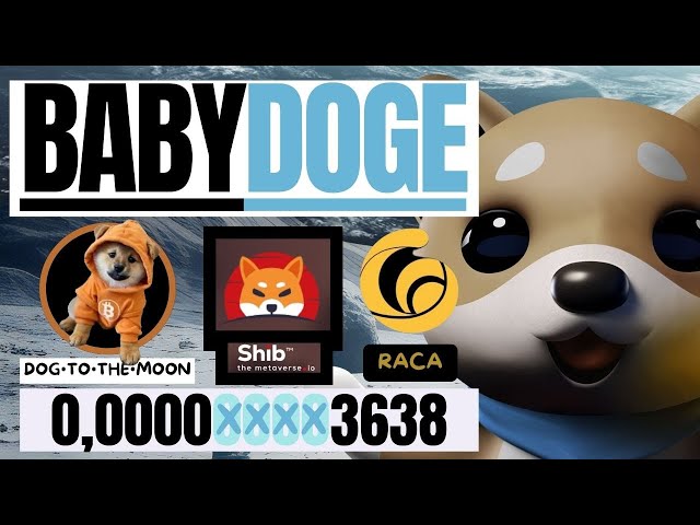 🔥BABY DOGE COIN // CHIEN VA SUR LA LUNE + SHIBA INU E RADIO CACA🔥