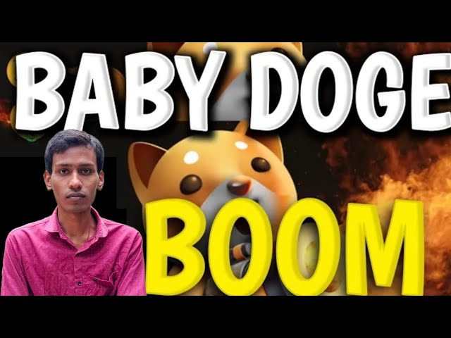 寶貝狗狗幣今日新聞 |燃燒| BabyDoge 硬幣價格幫浦 |幣安上線