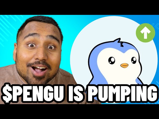 JETZT $PENGU KAUFEN!! BULLISCHE $PENGU-NACHRICHTEN!! Pudgy Penguins Meme Coin wird pumpen!! $Pengu-Preisvorhersage