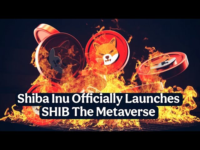 Shiba Inu Officially Launches SHIB The Metaverse #shib