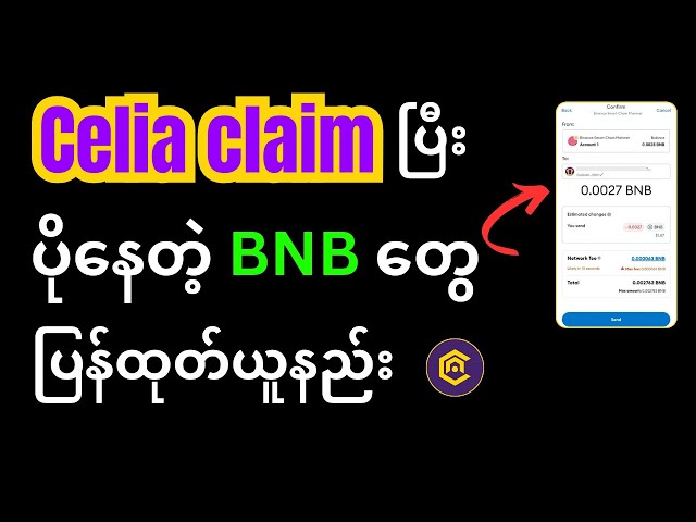 セリアトークンからBinanceに余ったBNBを引き出す方法