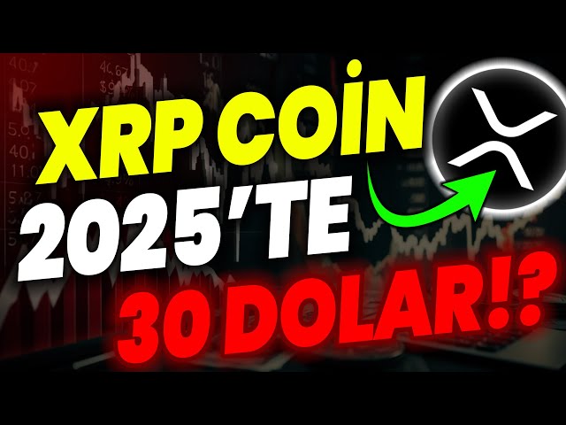 XRP 코인은 2025년에 30달러가 될 것입니다!! 이런 일이 발생하면 XRP 가격이 ..? 리플 사례 XRP 뉴스 XRP 분석