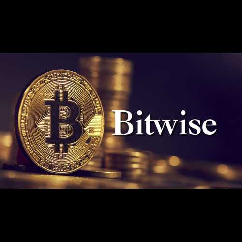 Bitwise 首席执行官预测 2025 年将是企业采用比特币的一年