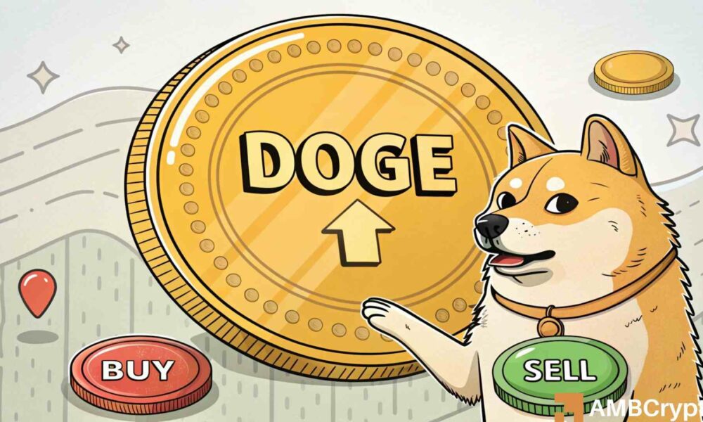 狗狗币 (DOGE) 价格将大幅下跌，目标为 0.22 美元