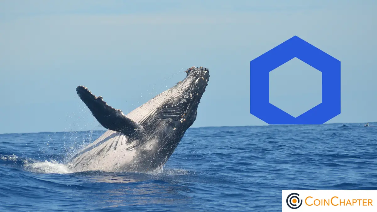 Whales Quietly Accumulate Chainlink (LINK) as the Token Moves to Self-Custody Wallets