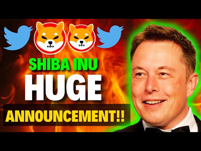 ELON MUSK COMMENCE LA PLUS GRANDE COURSE DE TAURAUX SHIBA INU APRÈS CETTE ÉNORME ANNONCE !! - NOUVELLES SHIB AUJOURD'HUI