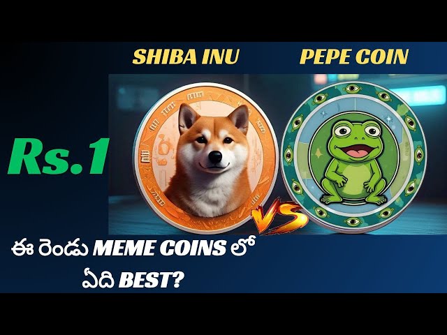 Which Will Hit ₹1 First?| Shiba Inu coin vs Pepe coin | Meme Coin Comparison