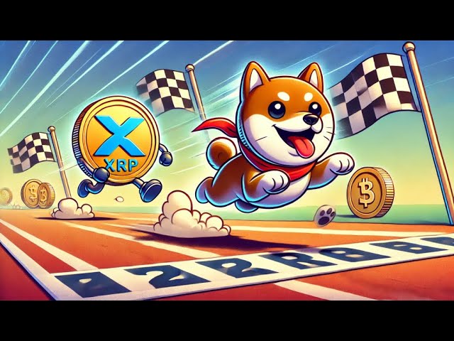 6 HOURS AND 5 DAYS LEFT: XRP 51X TO $111.38, SHIBA INU RISE TO $0.003!🚀ROADMAP OF THE RISE!🔥