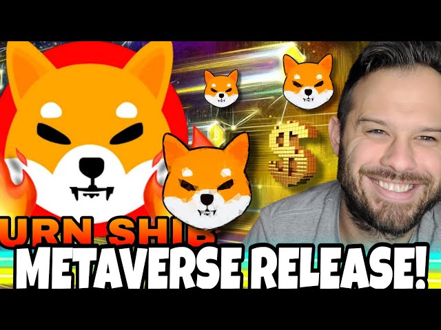 Pièce Shiba Inu | SHIB Le métaverse est ENFIN ICI ! (Sorte de)