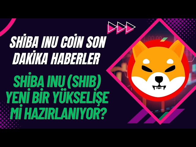 Is the Shiba Inu Preparing for a New Rise? Shiba Coin Latest News | Shiba Inu Analysis