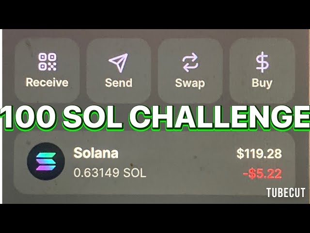 100 天内从 1 SOL 到 100 SOL：Solana Meme 硬币挑战！ 🚀 |第 2 天 - 最佳设置？💡