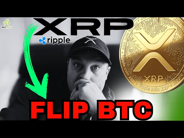 XRP：真正的加密之王！ 👑