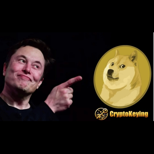 Qu'est-ce que le Dogecoin Cloud Mining et comment le faire ?