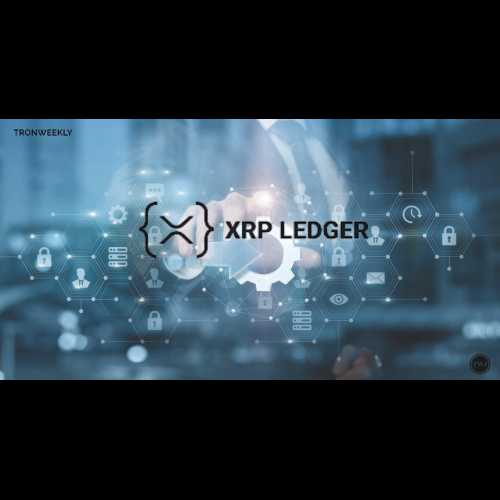 다목적 토큰(MPT)은 XRP 원장의 토큰화를 변화시킵니다.