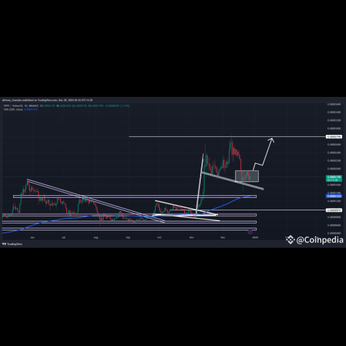 12月28日PEPE价格预测：反弹在即？