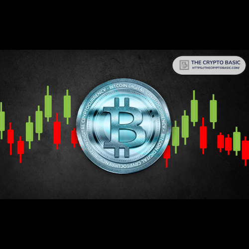 Wale horten Milliarden von Dollar in Stablecoins an Börsen, was Hoffnung auf Bitcoin und eine breitere Markterholung weckt